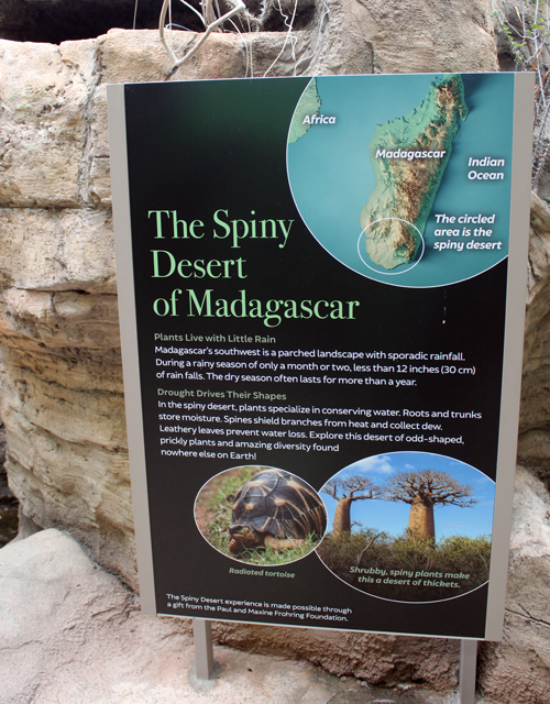 Spiny Desert of Madagascar sign in Cleveland Botanical Garden